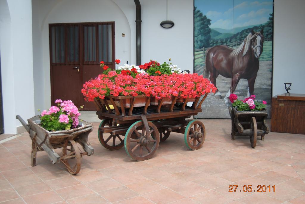 La Pioppa Agriturismo Sacile Exteriér fotografie
