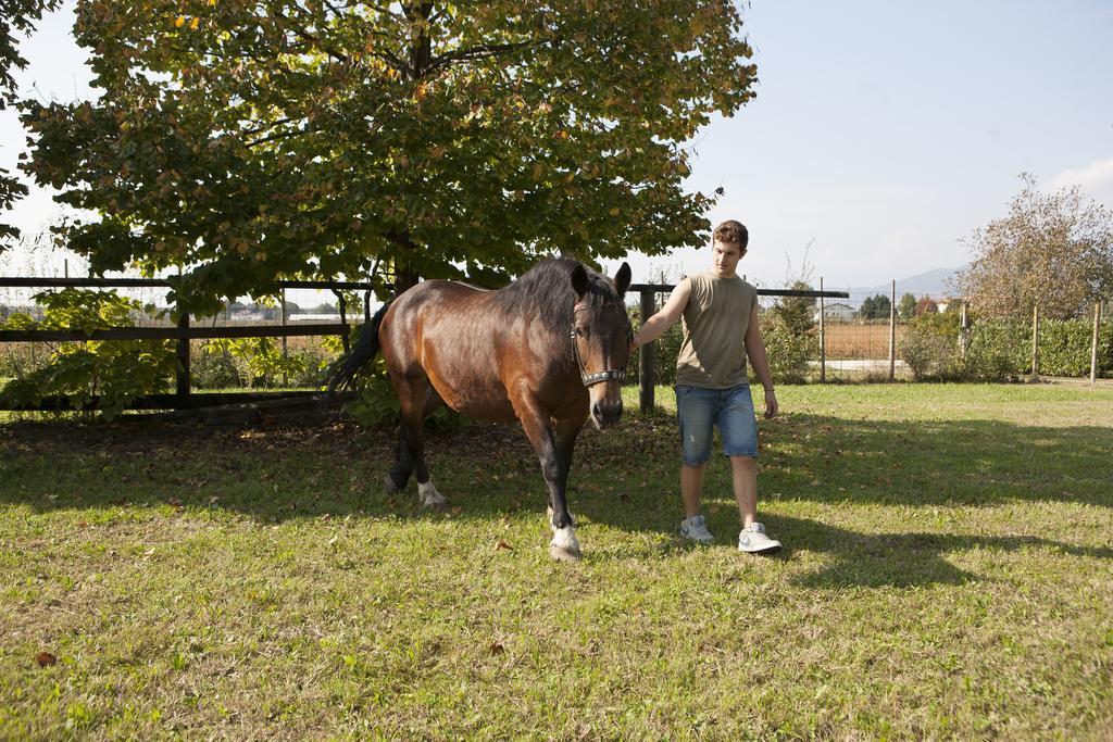 La Pioppa Agriturismo Sacile Exteriér fotografie