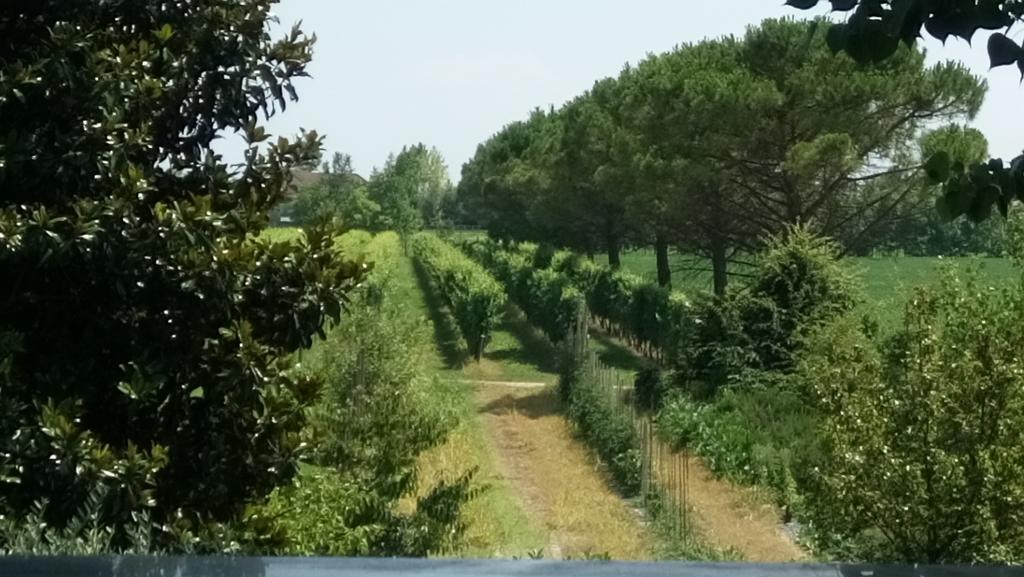 La Pioppa Agriturismo Sacile Exteriér fotografie