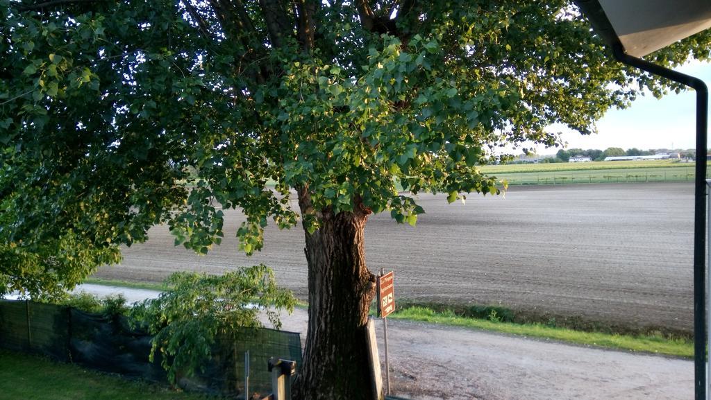 La Pioppa Agriturismo Sacile Exteriér fotografie